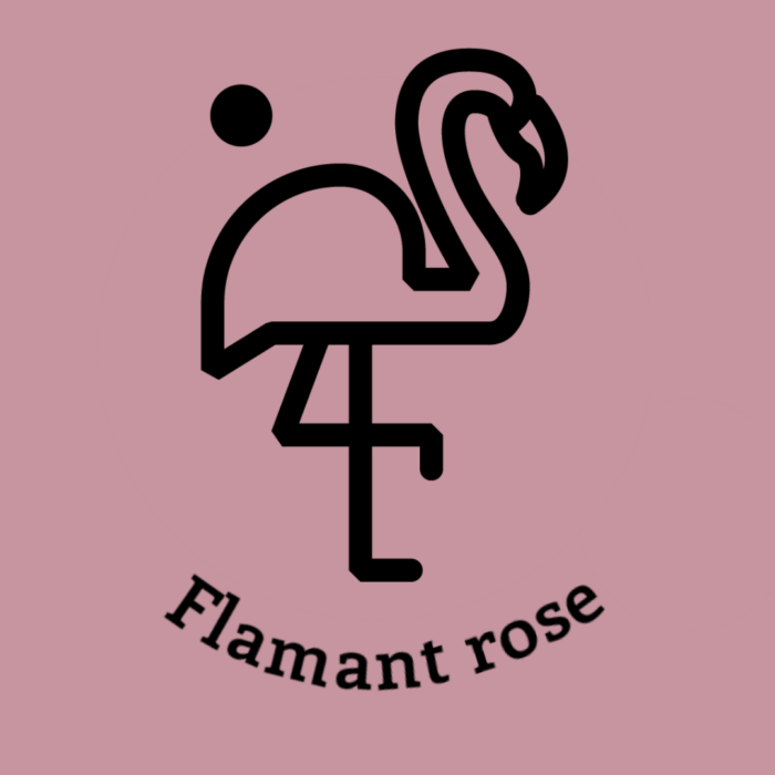 093-1FLAMANT-ROSE.JPG