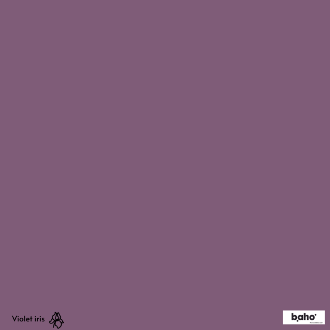 095-1VIOLET-IRIS-G.JPG