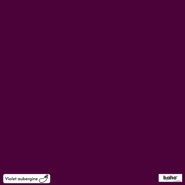 096-1VIOLET-AUBERGINE-G.JPG
