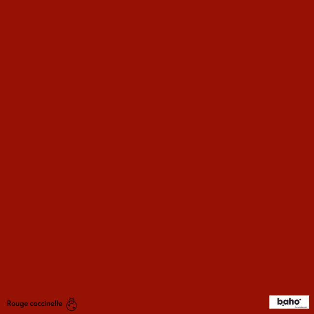 103-1ROUGE-COCCINELLE-G.JPG