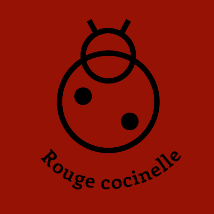 103-1ROUGE-COCCINELLE.JPG