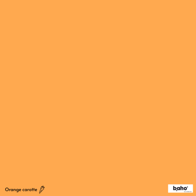 111-1ORANGE-CAROTTE-G.JPG