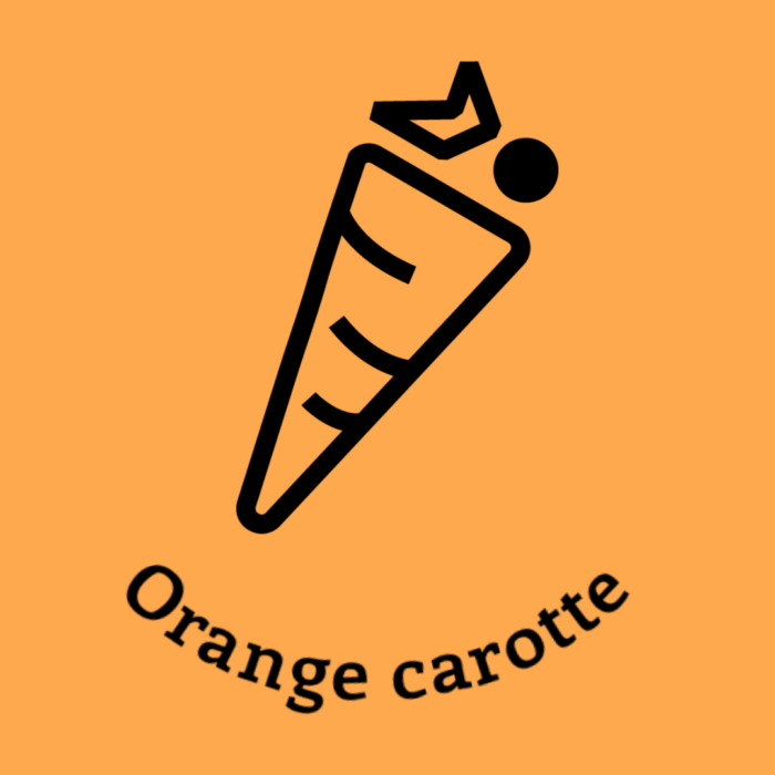 111-1ORANGE-CAROTTE.JPG