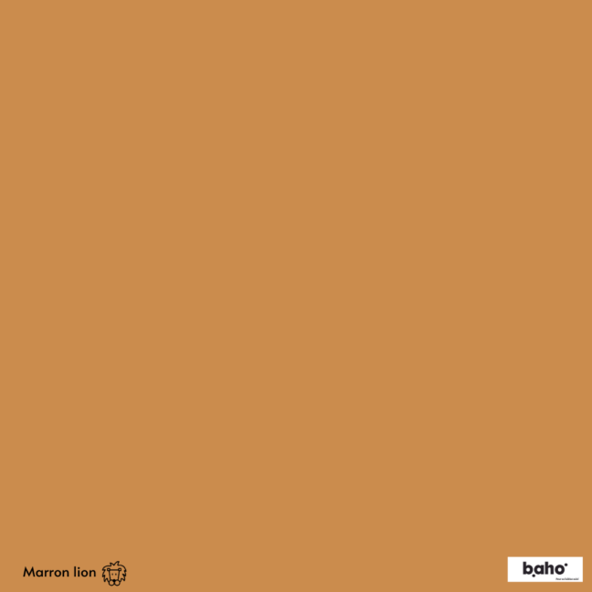 112-1MARRON-LION-G.JPG