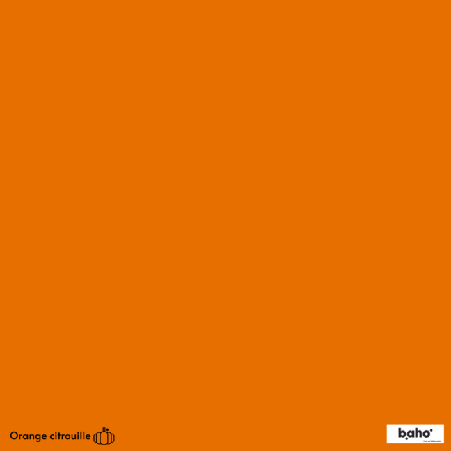 113-1ORANGE-CITROUILLE-G.JPG