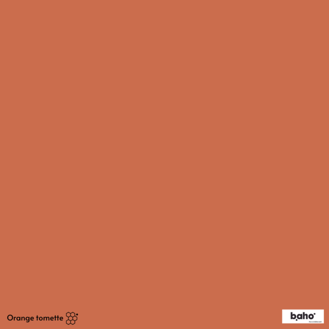 114-1ORANGE-TOMETTE-G.JPG