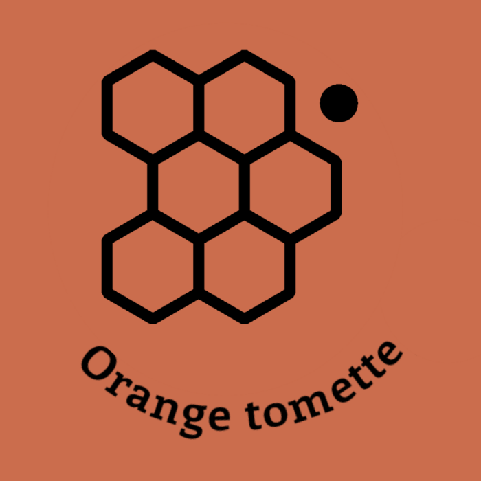 114-1ORANGE-TOMETTE.JPG
