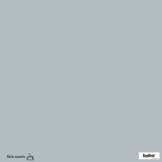 120-1GRIS-SOURIS-G.JPG