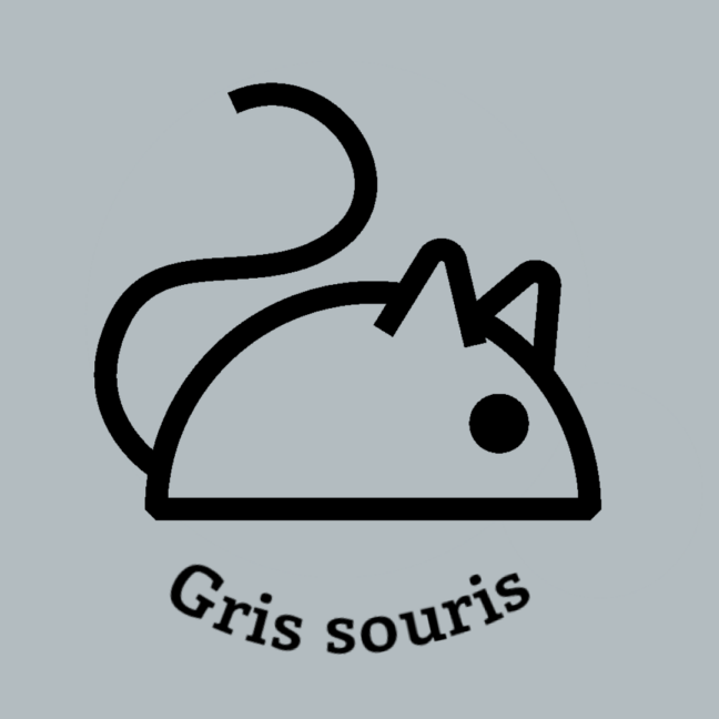 120-1GRIS-SOURIS.JPG