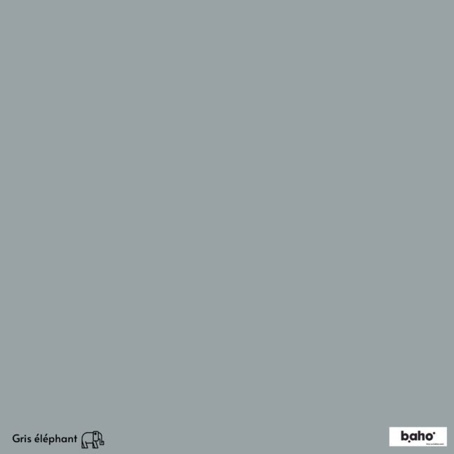 121-1GRIS-ELEPHANT-G.JPG
