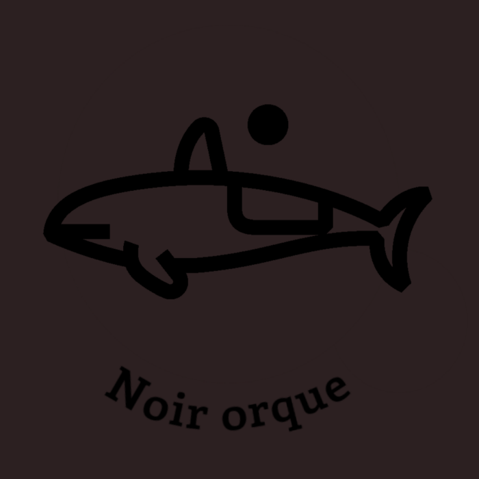 125-1NOIR-ORQUE.JPG
