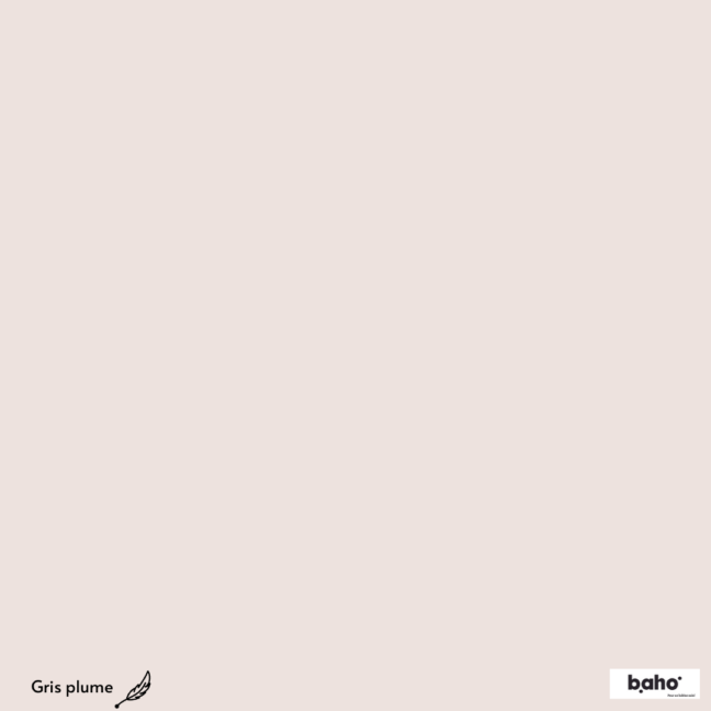 127-1GRIS-PLUME-G.JPG