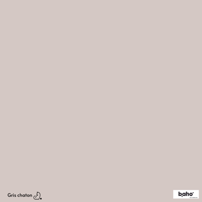128-1GRIS-CHATON-G.JPG
