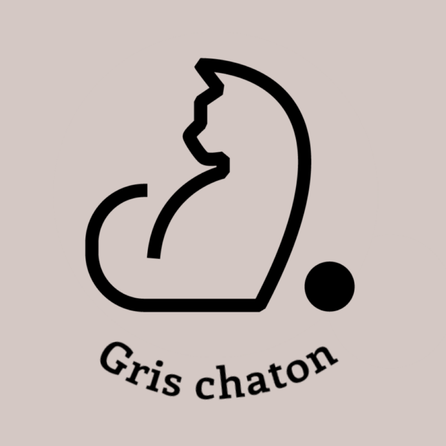 128-1GRIS-CHATON.JPG