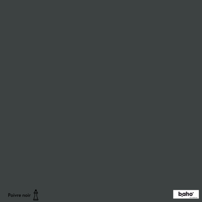 132-1NOIR-POIVRE-G.JPG