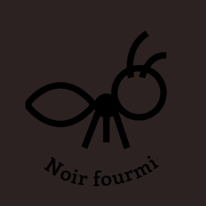 133-1NOIR-FOURMI.JPG