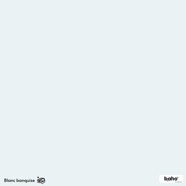 135-1BLANC-BANQUISE-G.JPG