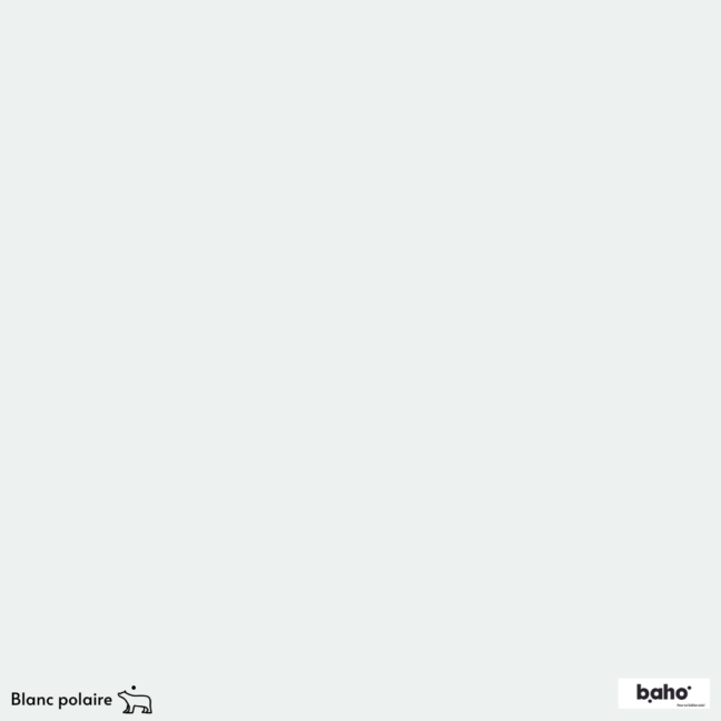 139-1BLANC-POLAIRE-G.JPG