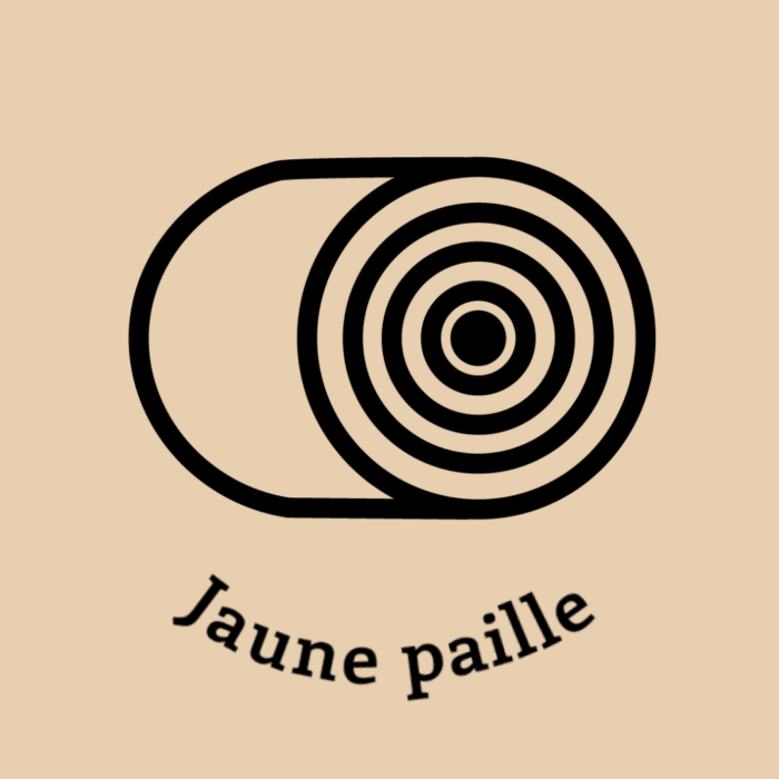 069-1JAUNE-PAILLE.JPG